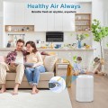 Airfire Air Purifier for Home, up to 1300 Sq.ft Air Purifiers for Allergies and Asthma, H13 HEPA Air Filter