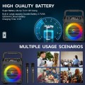 Karaoke Machine with 2 Wireless Microphones, Portable 30W Home Speaker System for Adults with Disco Lights and Strap