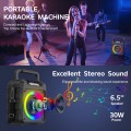 Karaoke Machine with 2 Wireless Microphones, Portable 30W Home Speaker System for Adults with Disco Lights and Strap